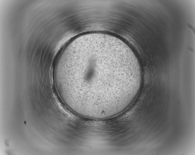 X0000102281030200808151923