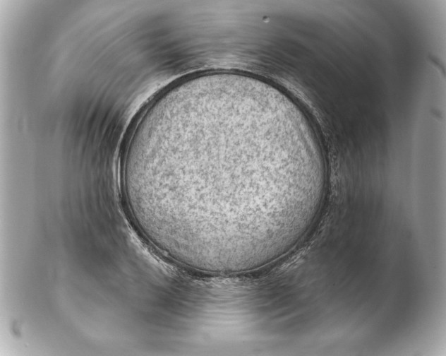 X0000102281032200808151923