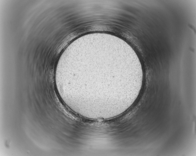 X0000102281033200808151923