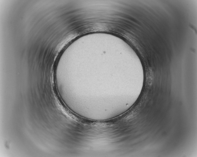 X0000102281034200808151923