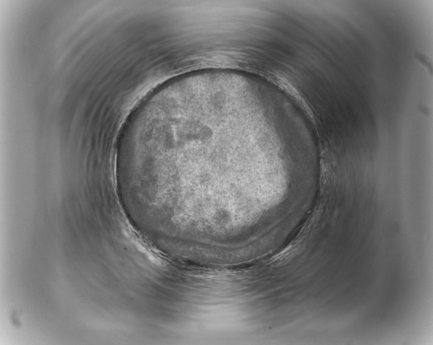 X0000102281035200808151923