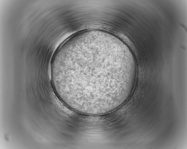 X0000102281036200808151923