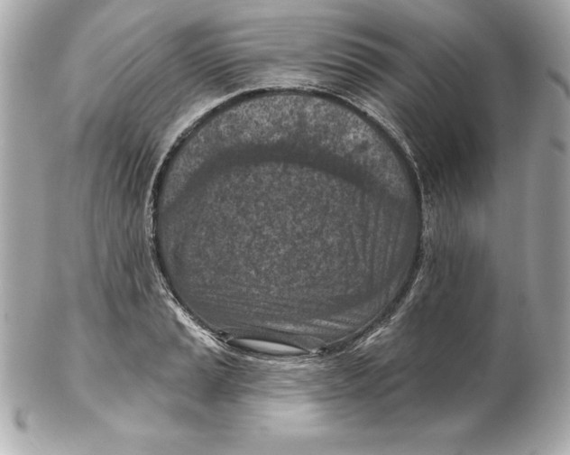 X0000102281037200808151923