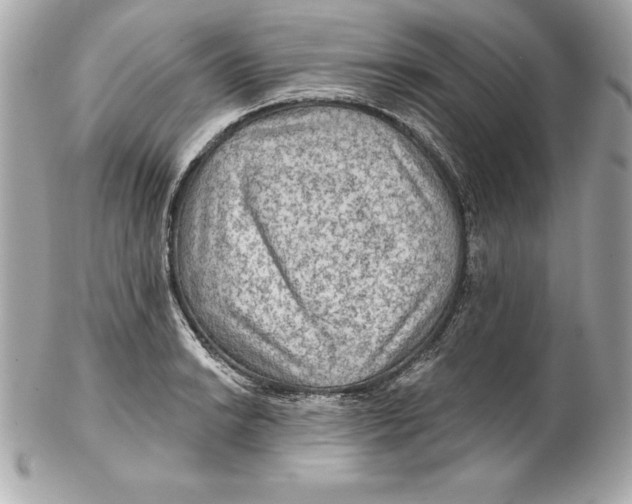 X0000102281038200808151923