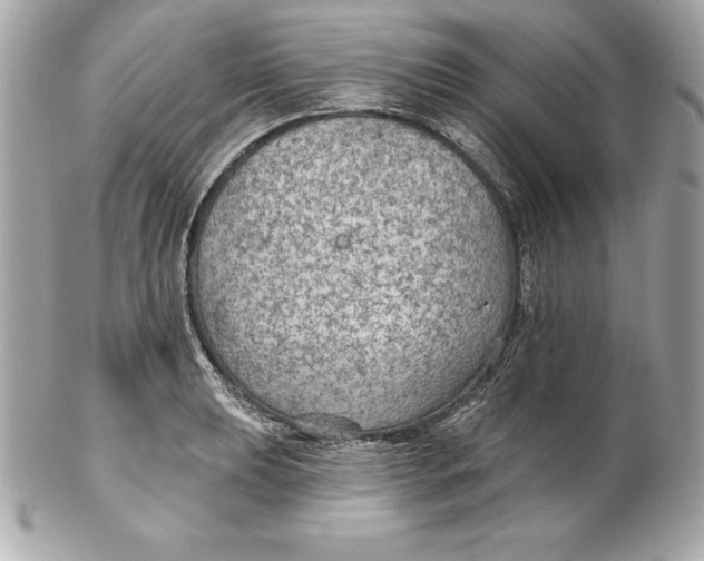 X0000102281039200808151923