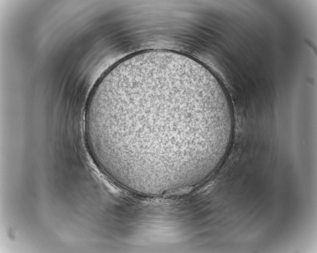 X0000102281040200808151923