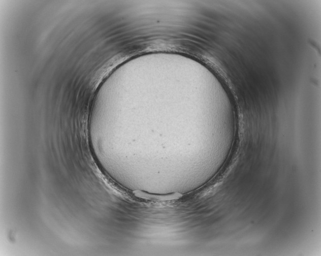 X0000102281041200808151923