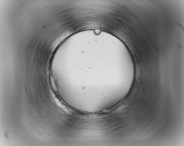 X0000102281042200808151923