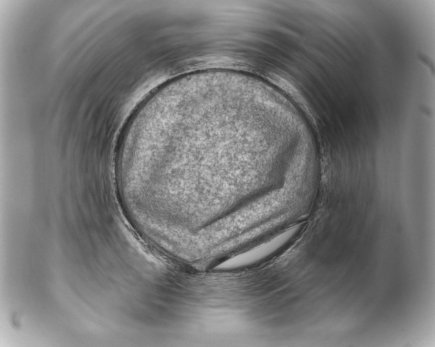 X0000102281043200808151923