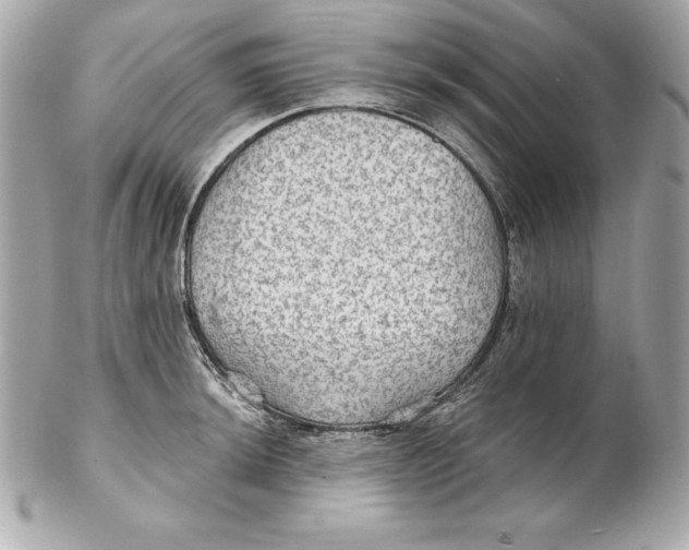 X0000102281044200808151923