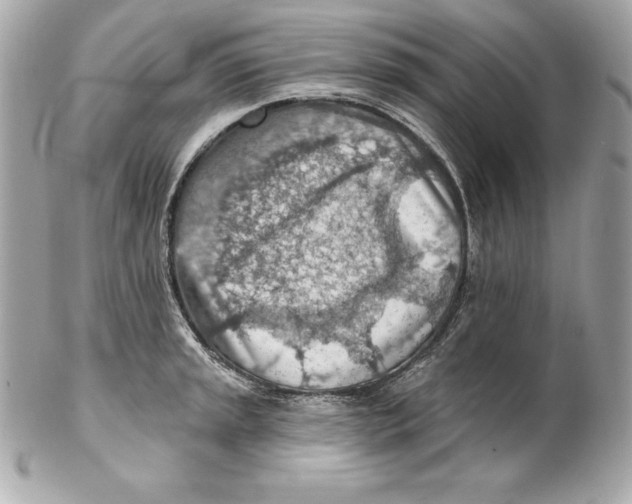 X0000102281045200808151923