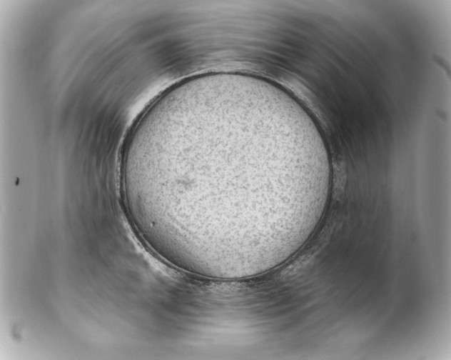 X0000102281046200808151923