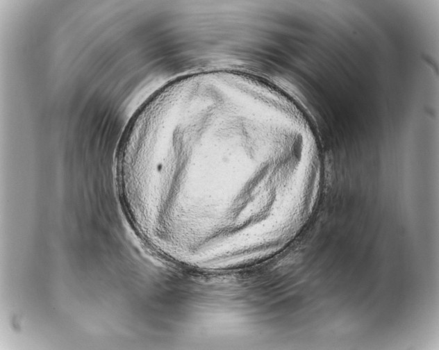 X0000102281047200808151923