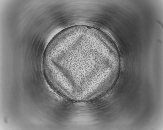 X0000102281048200808151923