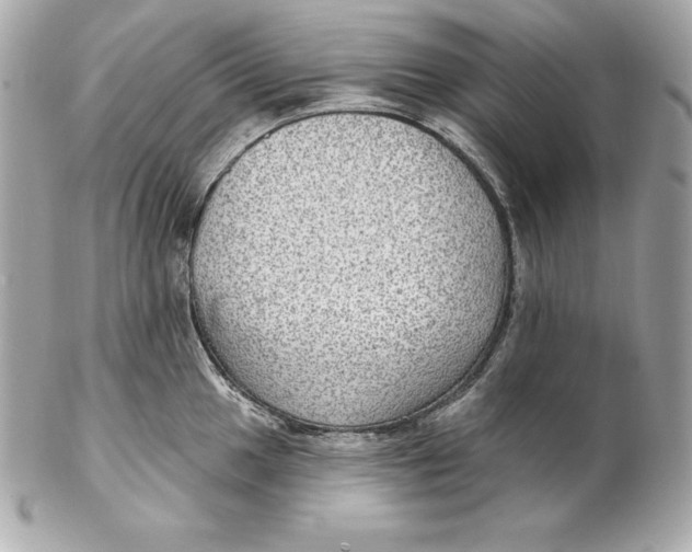 X0000102281049200808151923