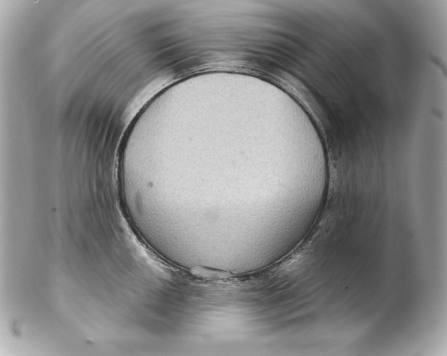 X0000102281050200808151923