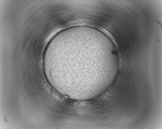 X0000102281051200808151923