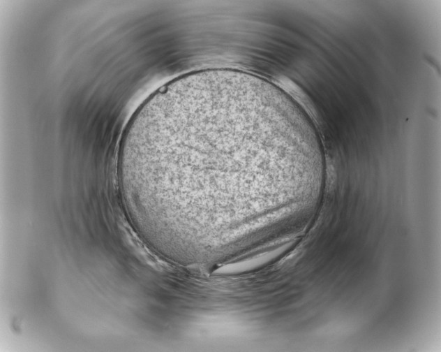 X0000102281052200808151923