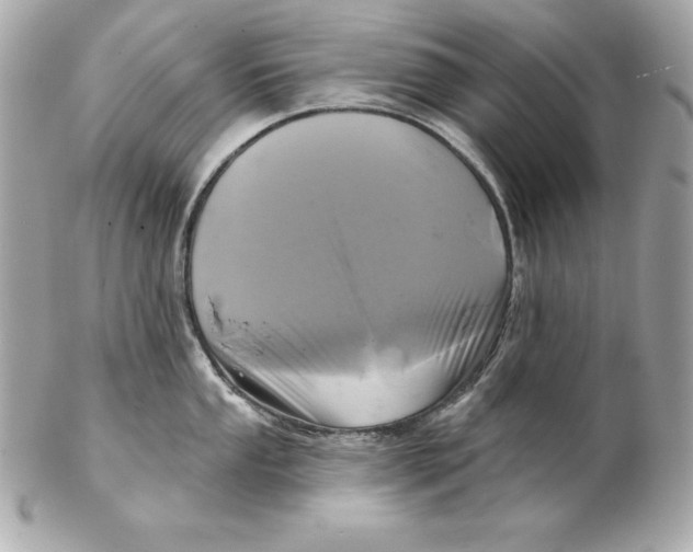 X0000102281053200808151923