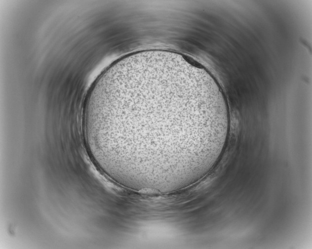 X0000102281054200808151923