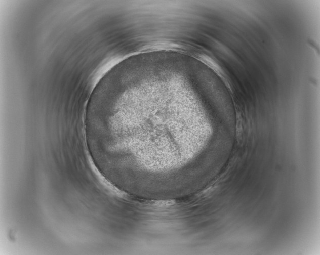 X0000102281055200808151923