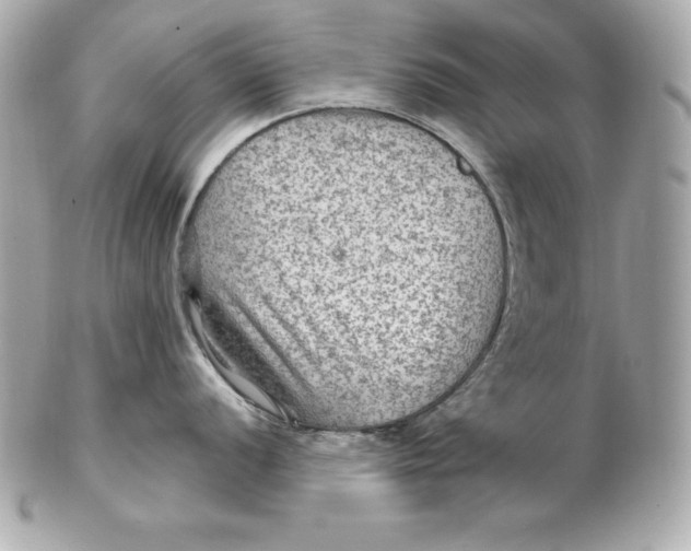 X0000102281056200808151923