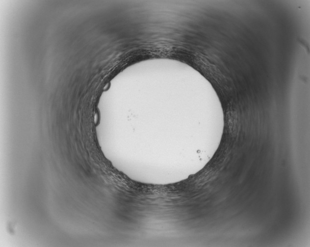 X0000102281057200808151922