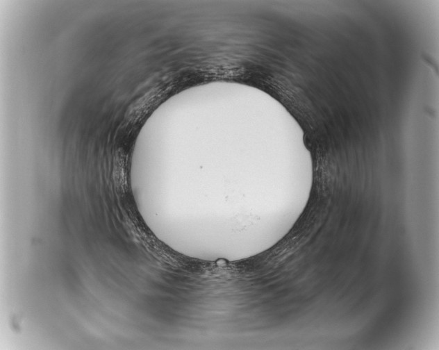 X0000102281058200808151922