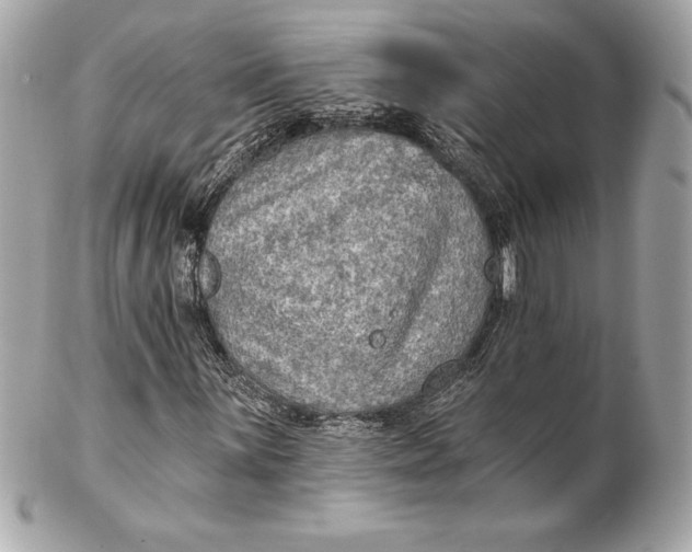 X0000102281059200808151922