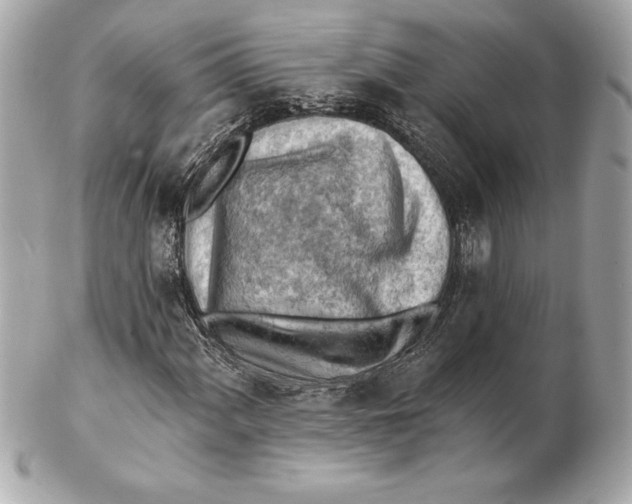 X0000102281060200808151922