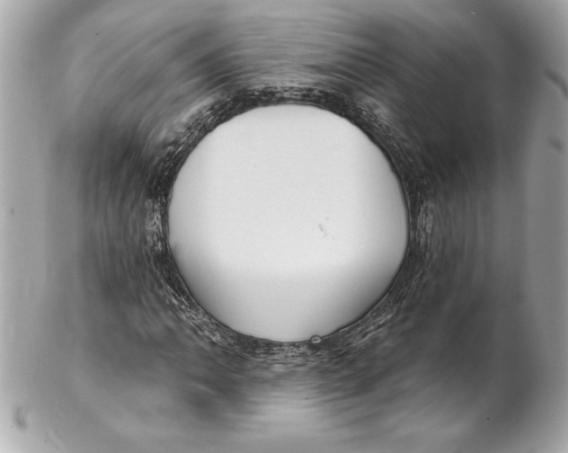 X0000102281062200808151922