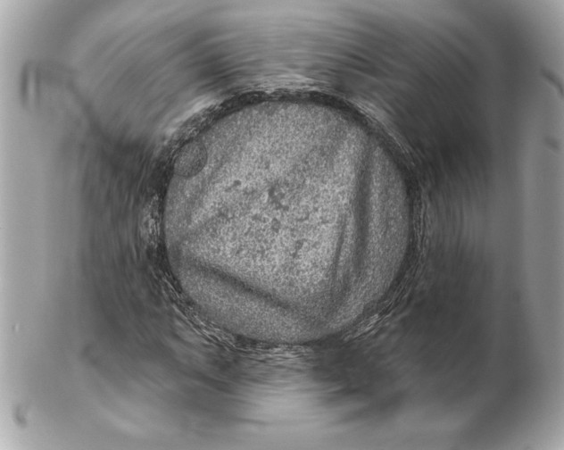 X0000102281063200808151922