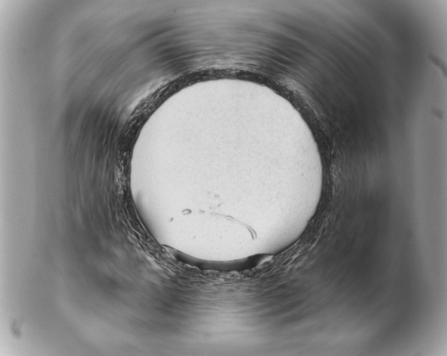 X0000102281064200808151922