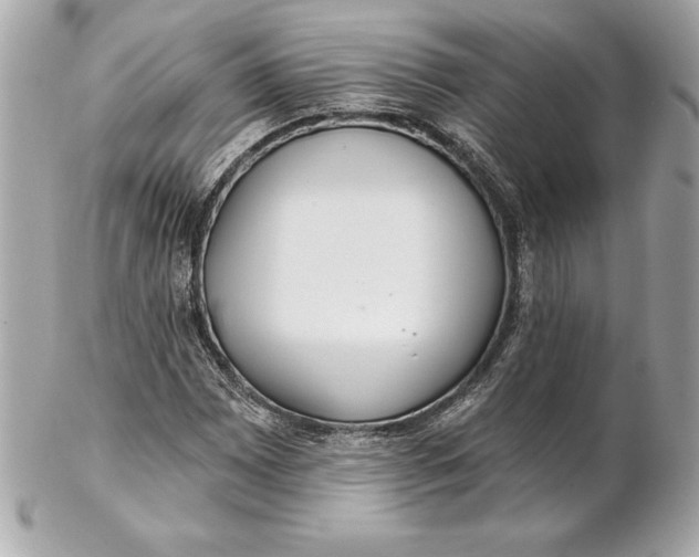 X0000102281065200808151922