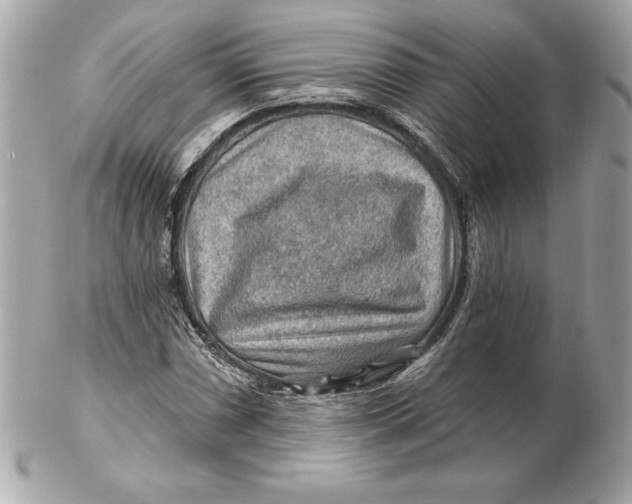 X0000102281066200808151922