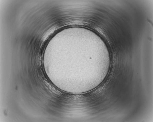 X0000102281067200808151922