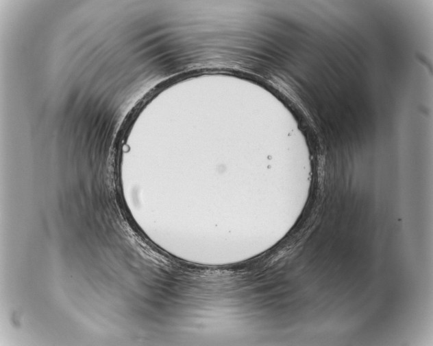 X0000102281068200808151922