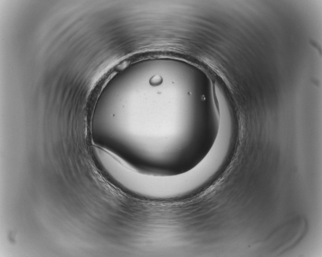 X0000102281069200808151922