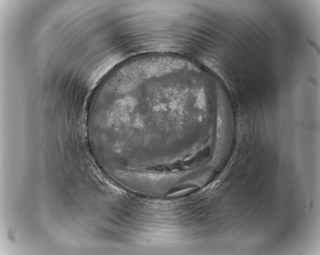 X0000102281071200808151922