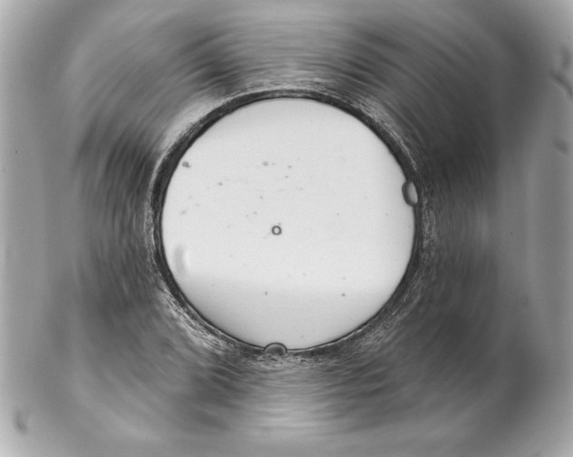 X0000102281072200808151922