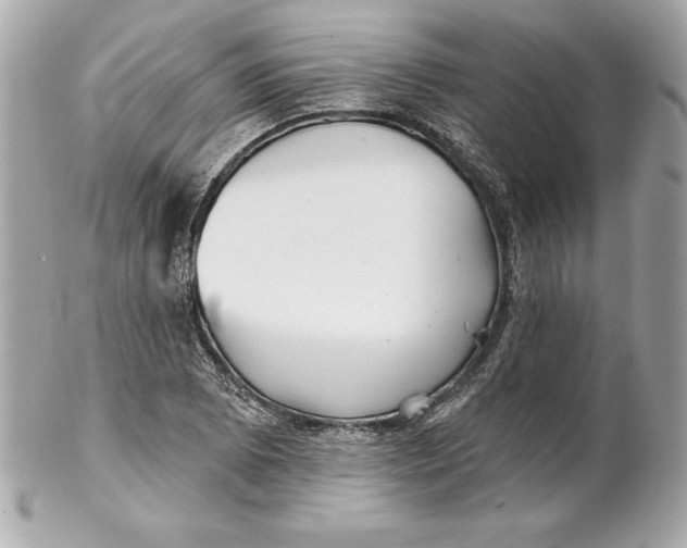 X0000102281073200808151922