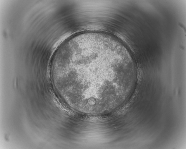 X0000102281074200808151922