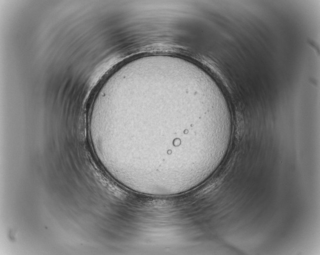 X0000102281075200808151922