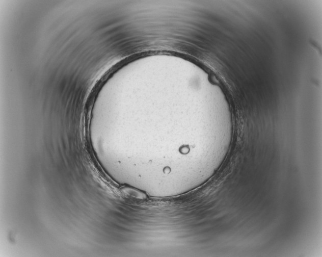 X0000102281076200808151922