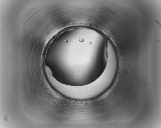 X0000102281077200808151922