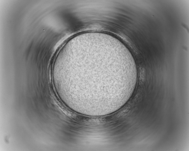 X0000102281078200808151922