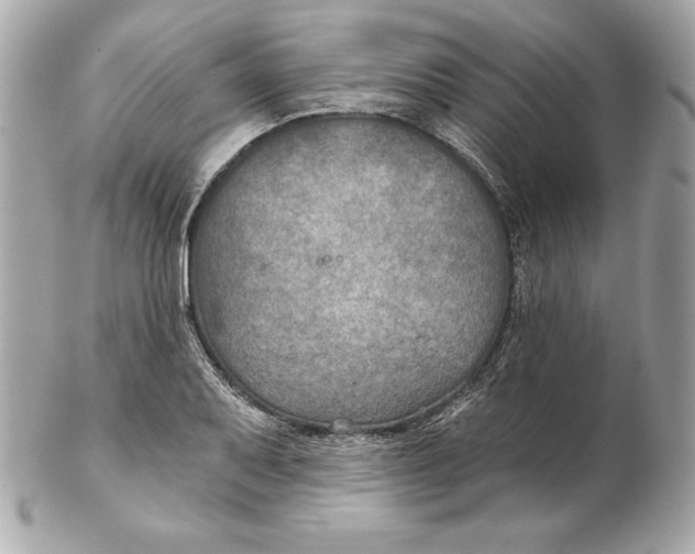 X0000102281079200808151922