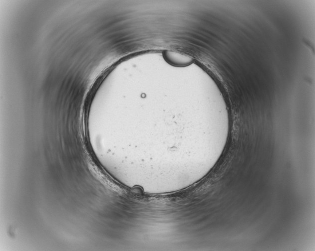 X0000102281080200808151922