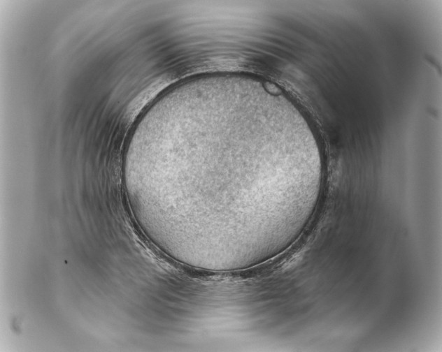 X0000102281081200808151922