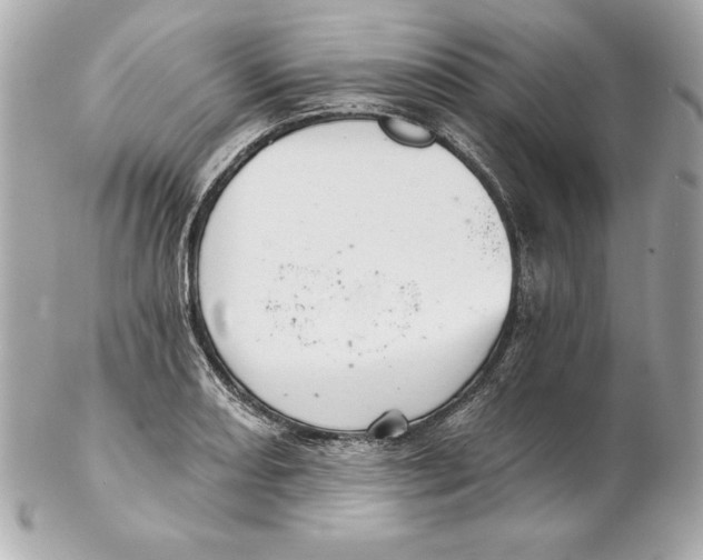 X0000102281082200808151922